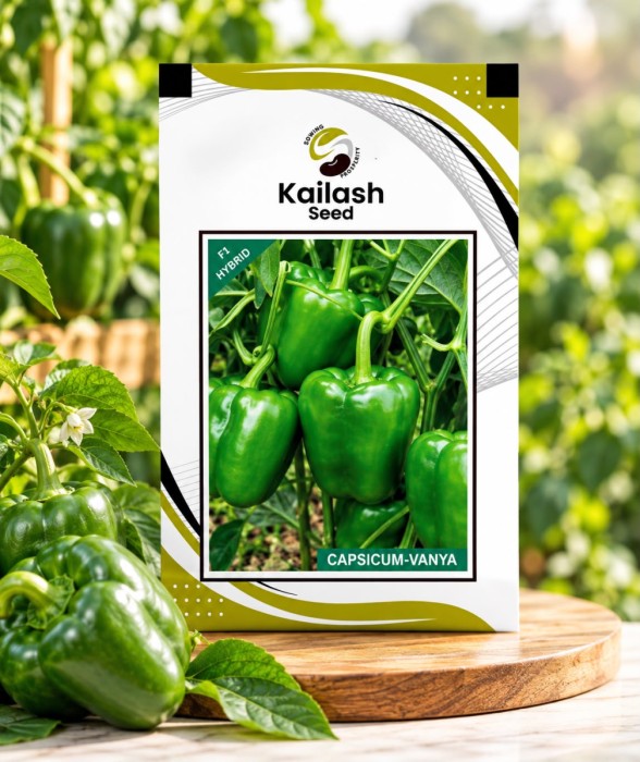 Capsicum Green